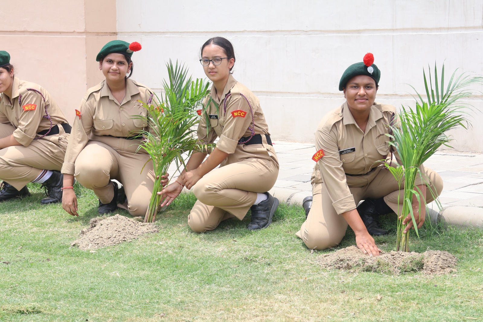 Tree Plantation Drive